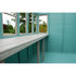 Shire  Sun Pent 10 x 6  Garden Shed