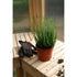 Jagram  Edwardian Greenhouse (Large)